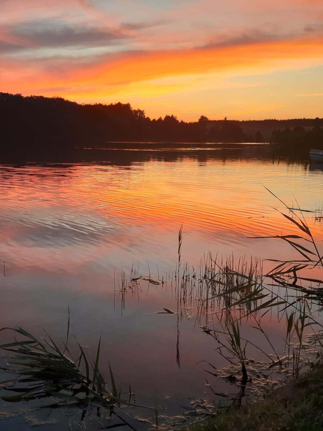 Domek Na Kaszubach, Borowy Mlyn, Jezioro Gwiazda, Sauna, 3 Dış mekan fotoğraf
