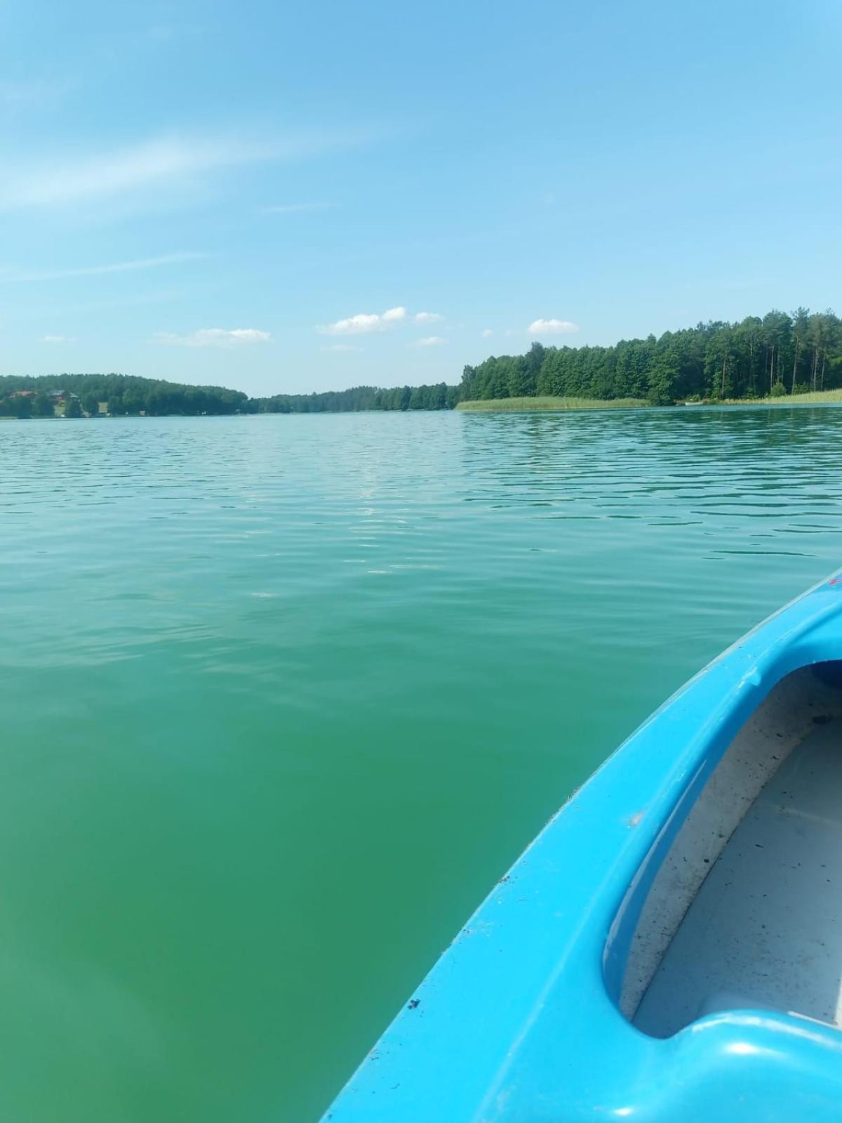 Domek Na Kaszubach, Borowy Mlyn, Jezioro Gwiazda, Sauna, 3 Dış mekan fotoğraf