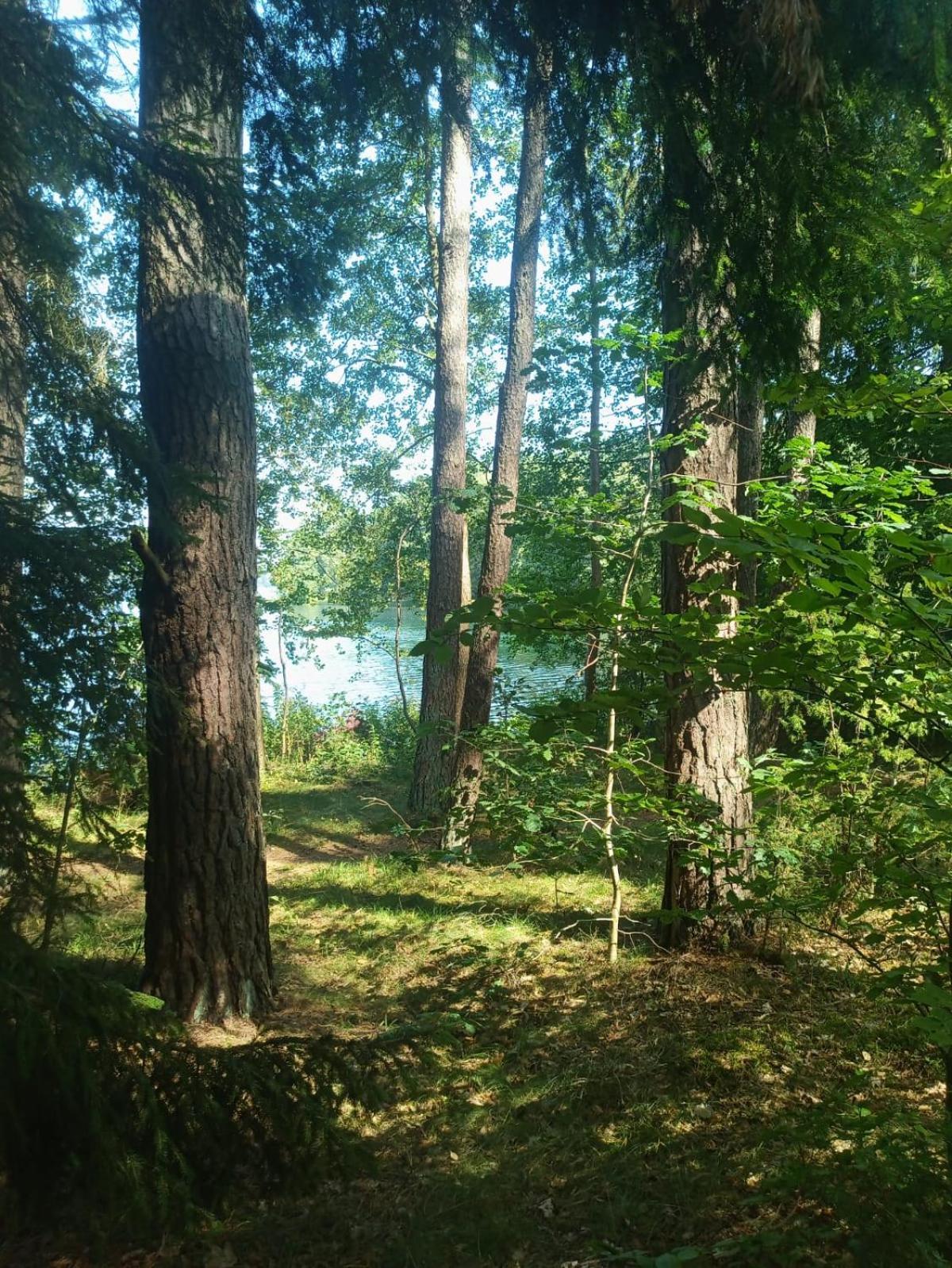 Domek Na Kaszubach, Borowy Mlyn, Jezioro Gwiazda, Sauna, 3 Dış mekan fotoğraf